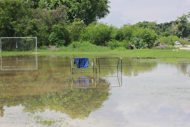 求胜欲望 求胜欲望