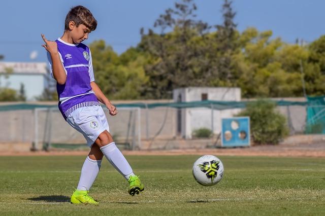 战术多样性 战术多样性