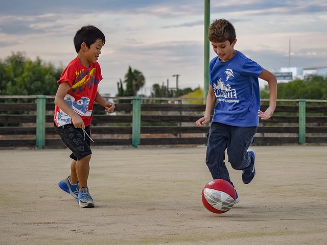 技术流踢法 技术流踢法