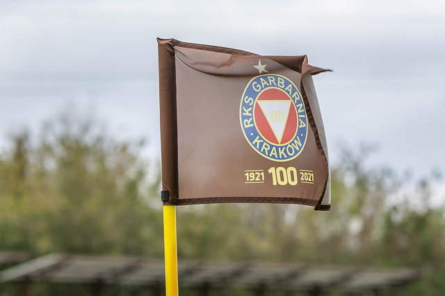 际排联点名 际排联点名