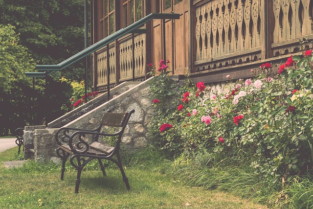 在这个承载 在这个承载