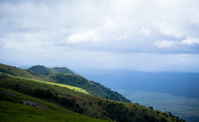蒂尔尼列入 蒂尔尼列入