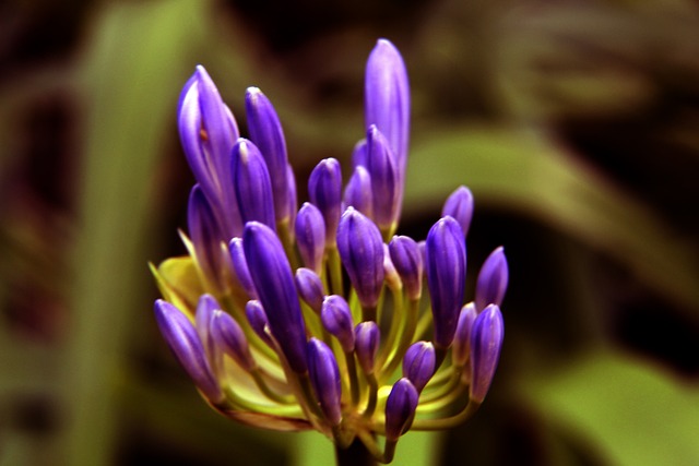 无疑将掀起 无疑将掀起