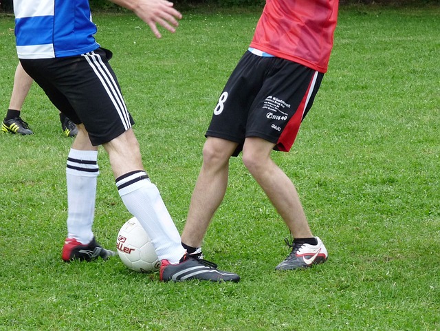 球队整体的 球队整体的