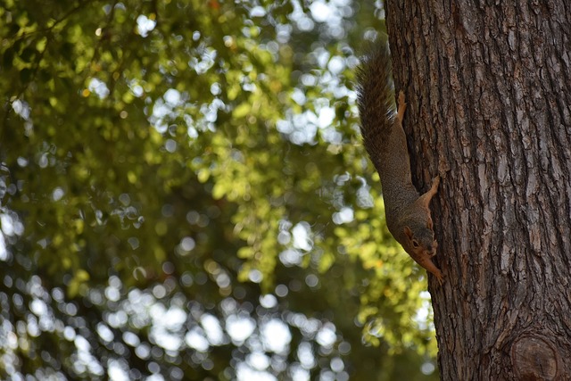 詹姆斯都是 詹姆斯都是