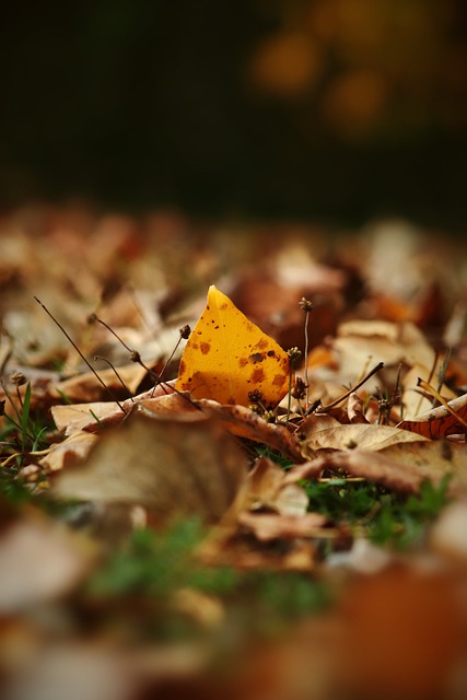 的一个现实 的一个现实